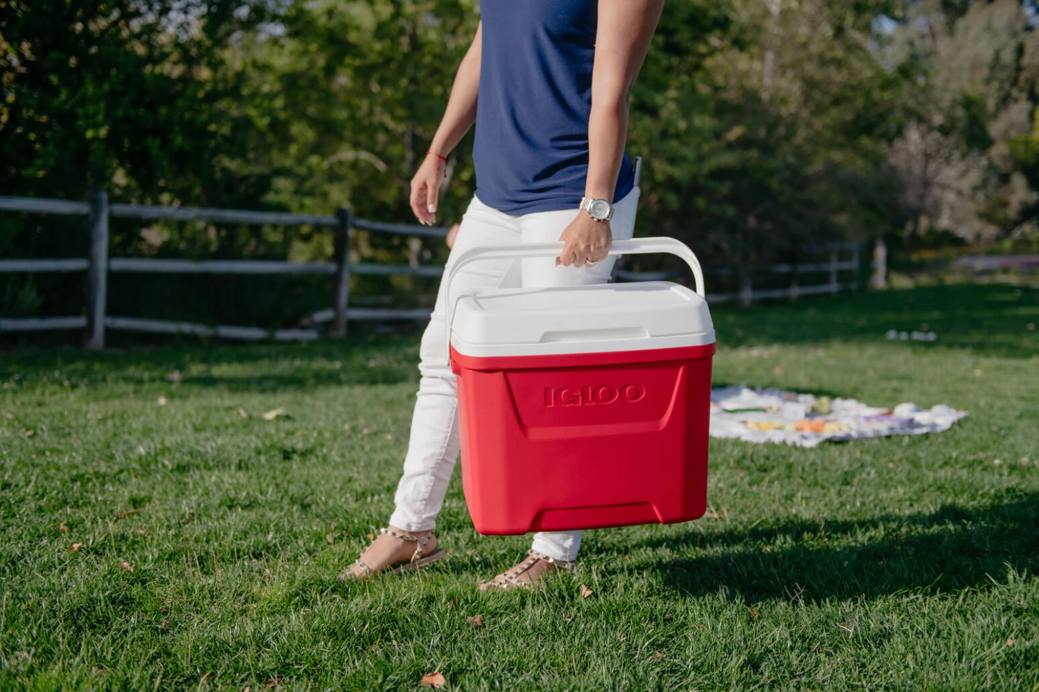 IGLOO Laguna 28QT Cool Box Red 6 IGLOO Laguna 28QT Cool Box Red - Image 4