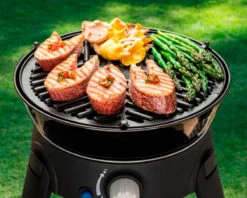 Cadac BBQ Grid 30 7 Cadac BBQ Grid 30 -Outdoor Camping Equipment Store k99ed97a2ecfce9685eca27d9856eb126